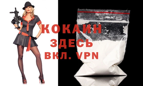 крисы Алексин