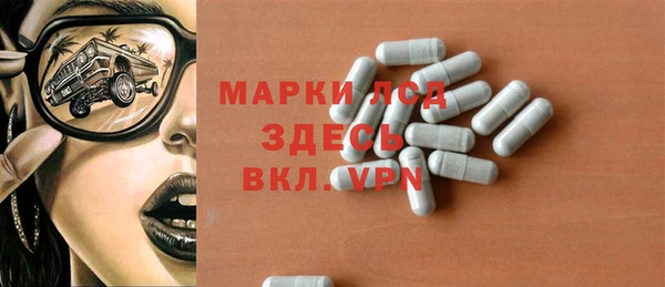 стаф Алзамай