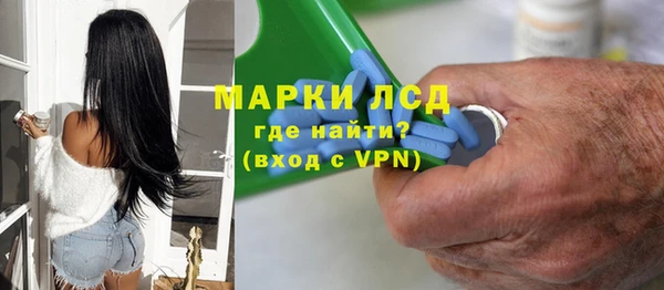стаф Алзамай