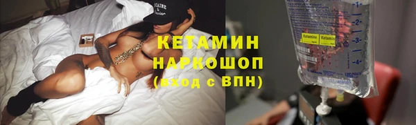крисы Алексин