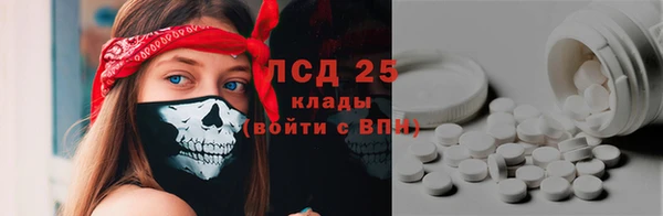крисы Алексин