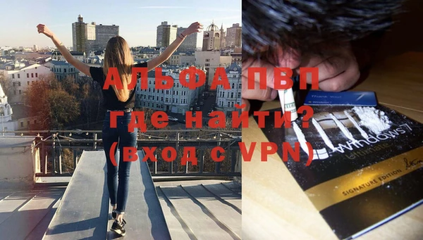 крисы Алексин