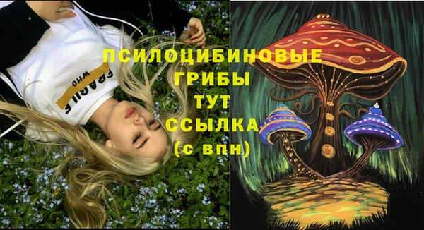 крисы Алексин