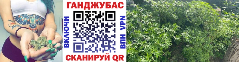 что такое   Дегтярск  Бошки марихуана Ganja 